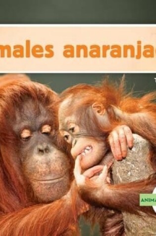 Cover of Animales Anaranjados (Orange Animals) (Spanish Version)