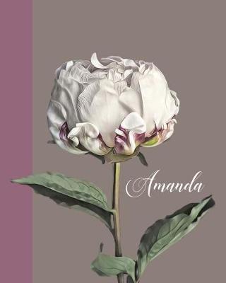 Book cover for Amanda