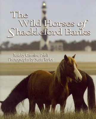 Book cover for Wild Horses of Shackleford Banks