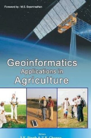 Cover of Geoinformatics Applications in Agriculture