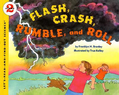 Cover of Flash Crash Rumble and Roll