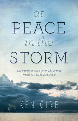 Book cover for At Peace in the Storm