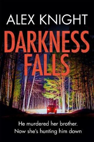 Cover of Darkness Falls