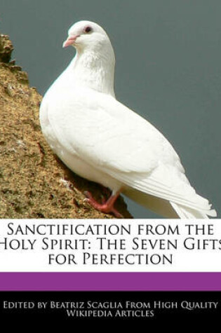 Cover of Sanctification from the Holy Spirit