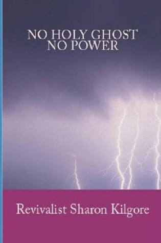 Cover of No Holy Ghost, No Power
