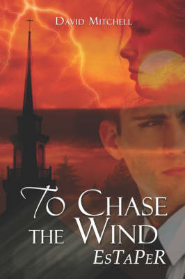 Book cover for To Chase the Wind