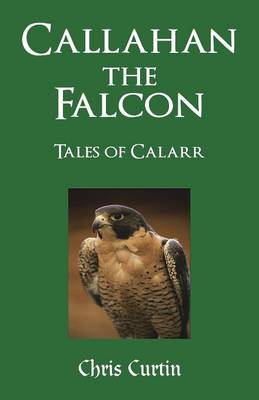 Book cover for Callahan the Falcon