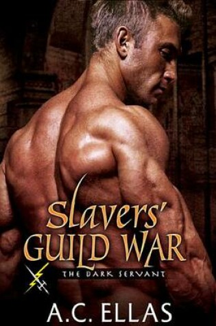 Cover of Slavers' Guild War