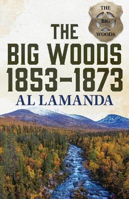 Book cover for The Big Woods 1853-1873