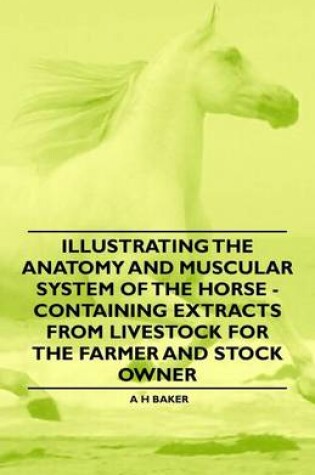 Cover of Illustrating the Anatomy and Muscular System of the Horse - Containing Extracts from Livestock for the Farmer and Stock Owner