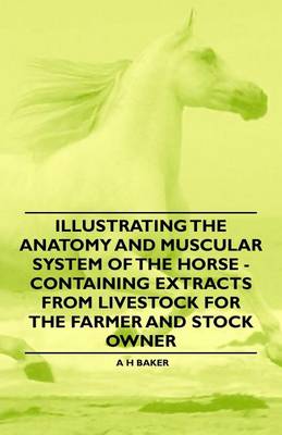 Book cover for Illustrating the Anatomy and Muscular System of the Horse - Containing Extracts from Livestock for the Farmer and Stock Owner
