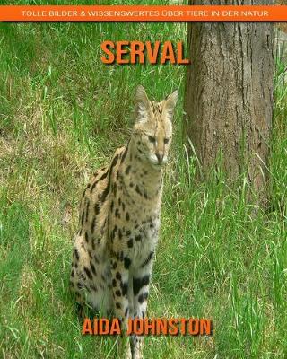 Book cover for Serval