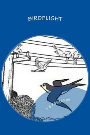 Cover of Birdflight