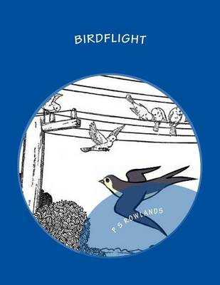 Book cover for Birdflight