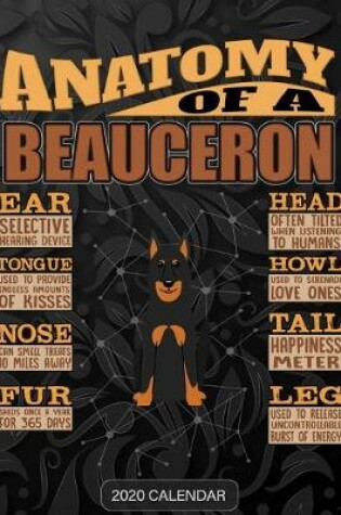 Cover of Anatomy Of A Beauceron