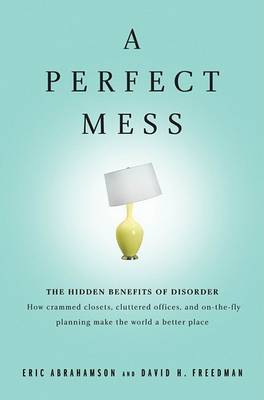 Book cover for A Perfect Mess