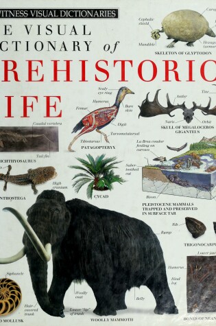 Cover of Prehistoric Life