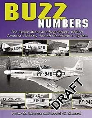 Book cover for Buzz Numbers