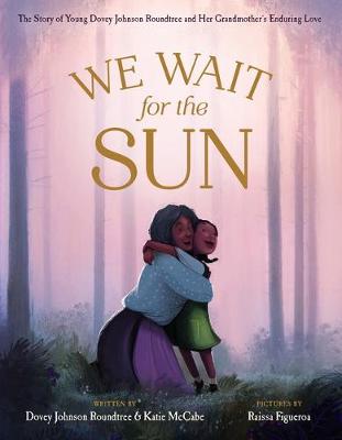 Book cover for We Wait for the Sun