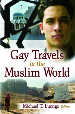 Book cover for Gay Travels in the Muslim World