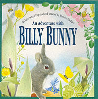 Book cover for Adventure with Billy Bunny