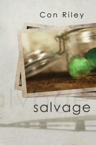 Cover of Salvage