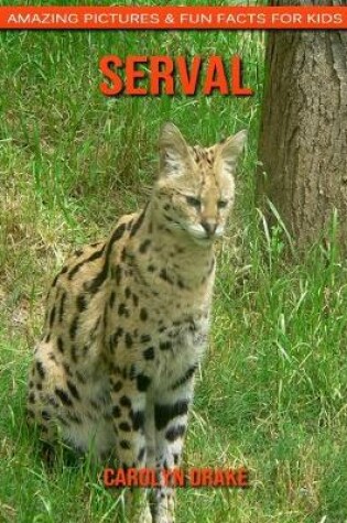 Cover of Serval