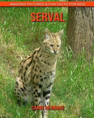 Book cover for Serval