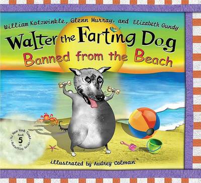 Book cover for Banned from the Beach