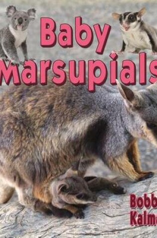 Cover of Baby Marsupials