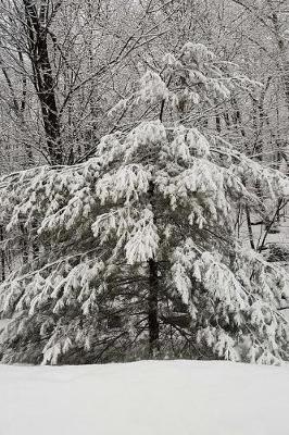 Book cover for Scenic Winter Photo Journal Evergreen Tree