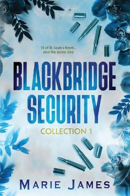 Book cover for Blackbridge Security Collection 1