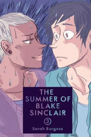 Cover of The Summer of Blake Sinclair