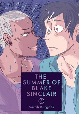 Book cover for The Summer of Blake Sinclair