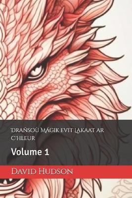 Book cover for Drañsoù Mágik evit Lakaat ar C'hleur