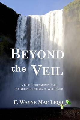 Book cover for Beyond the Veil