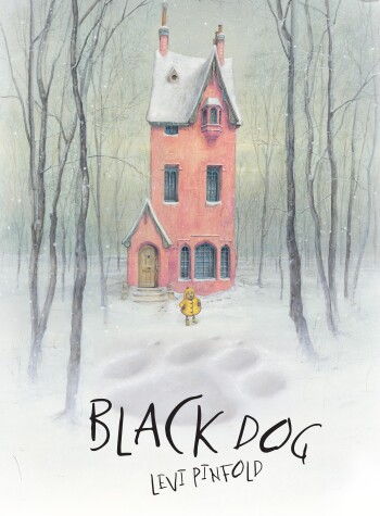 Book cover for Black Dog