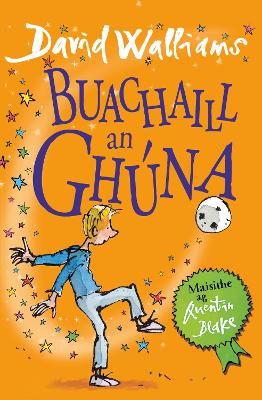 Book cover for Buachaill an Ghuna