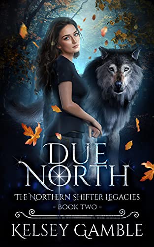 Book cover for Due North