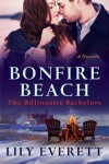 Book cover for Bonfire Beach
