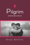 Book cover for Pilgrim