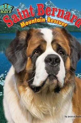 Cover of Saint Bernard