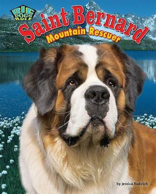 Book cover for Saint Bernard