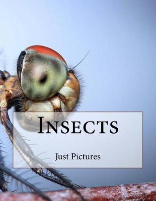 Book cover for Insects