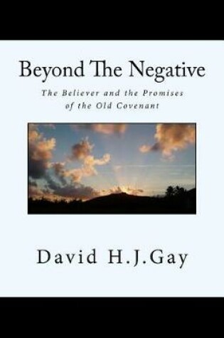 Cover of Beyond the Negative