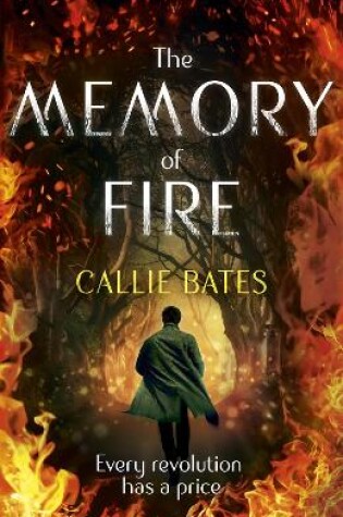 Cover of The Memory of Fire