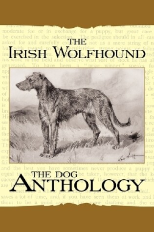 Cover of The Irish Wolfhound - A Dog Anthology (A Vintage Dog Books Breed Classic)