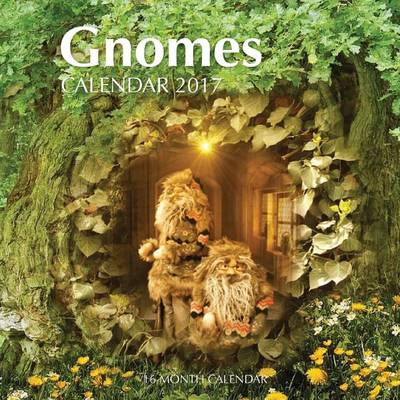 Book cover for Gnomes Calendar 2017