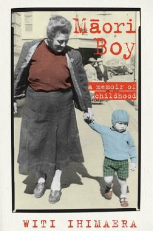 Cover of Maori Boy