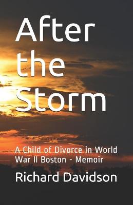 Book cover for After the Storm